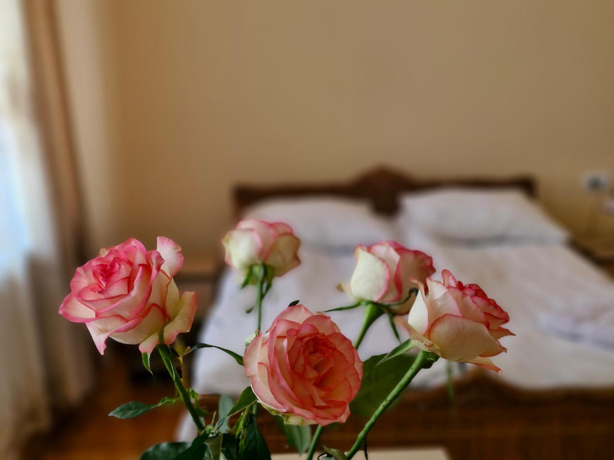 Guest House David'S B&B Gyumri Luaran gambar