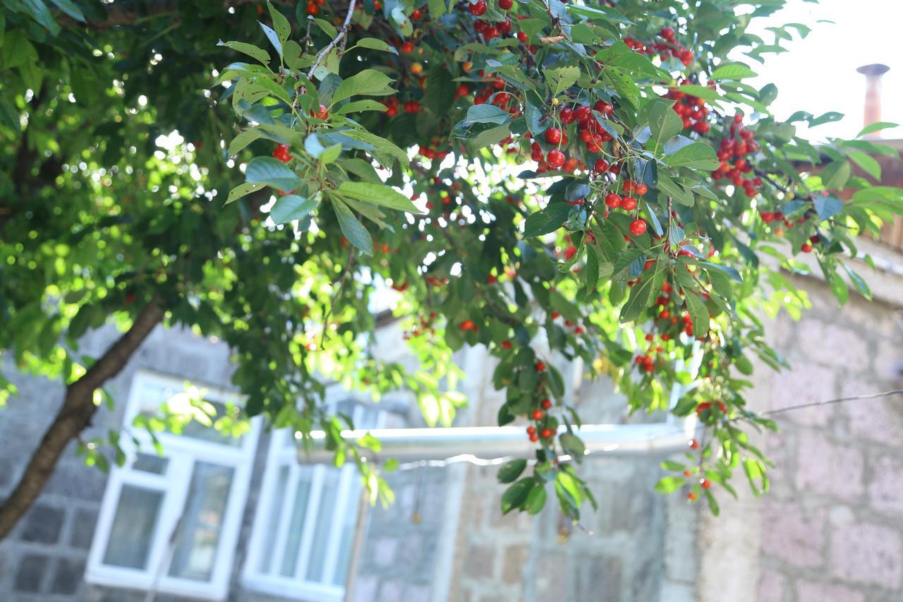 Guest House David'S B&B Gyumri Luaran gambar